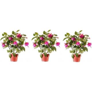 👉 3x Roze fuchsiaplant kunstplant 30 cm voor binnen