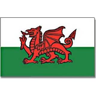 👉 Vlag active Wales 90 x 150 cm feestartikelen