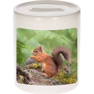 👉 Spaarpot active Foto eekhoorntje 9 cm - Cadeau eekhoorntjes liefhebber