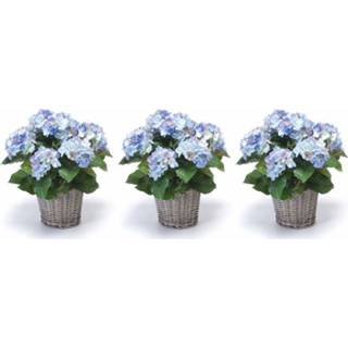 👉 Kunstplant blauw 3x Hortensia kunstplanten 45 cm