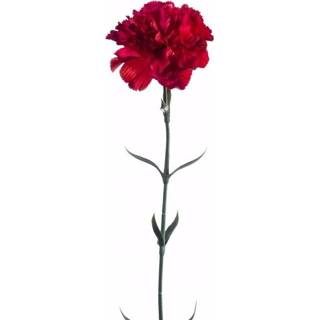 Kunstbloem rode active Dianthus 65 cm