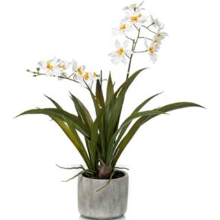👉 Orch idee keramische active witte orchidee kunstplant in pot 45 cm