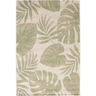 👉 Vloerkleed donkergroen active Cottage wool/ jungle green 120x170cm 5400889200945