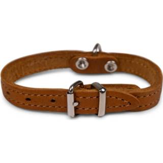 👉 Halsband leder XXS Dierenbenodigdheden Vadigran Hond Geolied Cognac 27cmx12mm 5411468161465