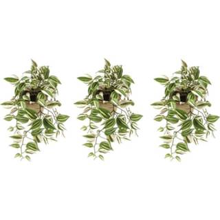 👉 Kunstplant groene active 3x Tradescantia/vaderplant kunstplanten 70 cm met pot