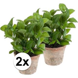 👉 Kunst plant active groene 2x kunstplant basilicum kruiden in pot
