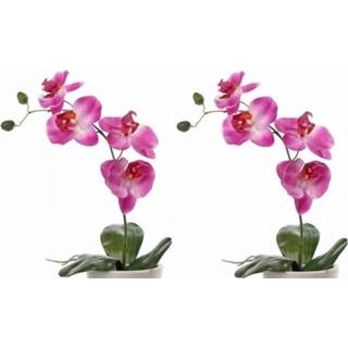 👉 2x Roze Orchidee/Phalaenopsis kunstplanten 44 cm voor binnen