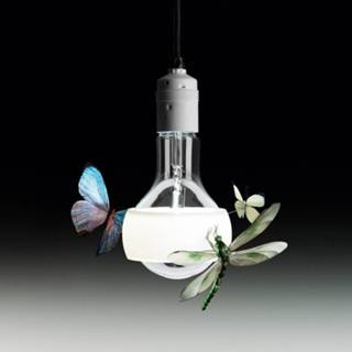 👉 Hang lamp glas e Go Maurer doorzichtig Ingo Johnny B.Butterfly hanglamp 170cm