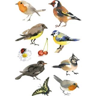 👉 Dierensticker papier multikleur kinderen 30x Vogel Dieren Stickers - Kinderstickers Stickervellen Knutselspullen 8719538952355