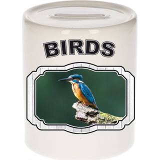 👉 Spaarpot active kinderen Dieren ijsvogel zittend - birds/ vogels spaarpotten 9 cm