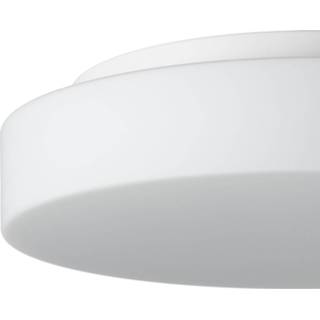 👉 Plafond lamp wit a+ senioren BEGA 50651 LED plafondlamp opaalglas 3.000K Ø34cm