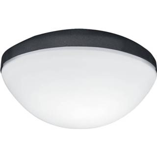 👉 Grafietgrijs grijs Hunter Contemporary lamp voor ventilatoren,
