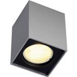 👉 Zilvergrijs ALTRA DICE - designplafondlamp