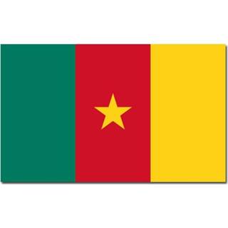 👉 Vlag Kameroen 90 x 150 cm feestartikelen