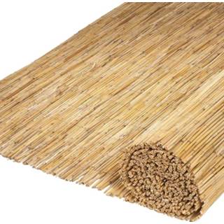 👉 Tuinschermen 2 st 500x100 bamboo riet
