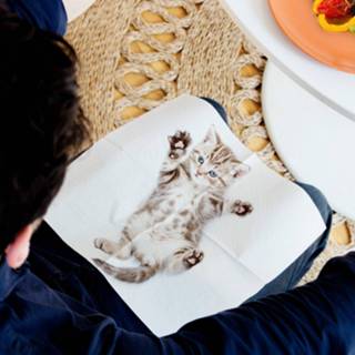 👉 Servet Kat servetten (set van 24) 5060043065744