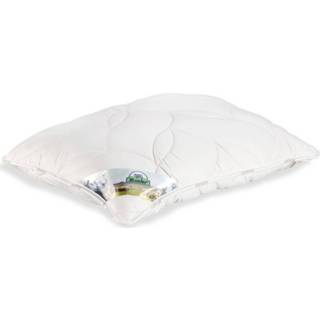 👉 Hoofdkussen wol wit Texeler Soezzz Perfection - 70 X 60 Cm 8711945004665