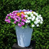 Bloemstuk plastic active Bloemen hol huis ingericht meerdere kleuren eenvoudig vaas bloempotten voor bruiloft decoratie, willekeurige kleur levering 6922005953454