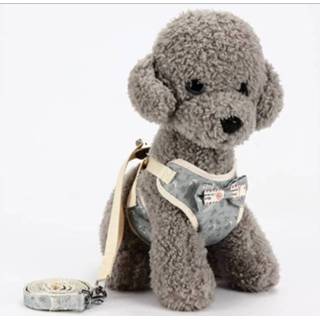 👉 Hondenriem grijs m active Universal Dog Back Pet Chest Rope Trekkabel Chain Hondenriem, maat: (grijs)