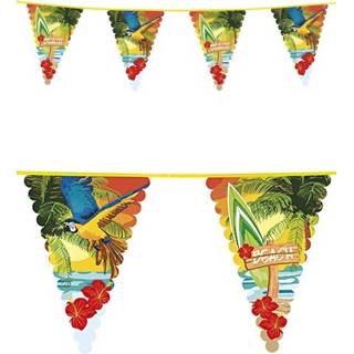 👉 Vlaggenlijn active Hawaii party 6 meter voor feesten 8713647947042