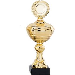 👉 Prijs beker gouden active trofee/prijs 22 cm