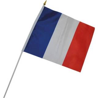 Vlag active 30x45cm op stok Frankrijk 8712364622805