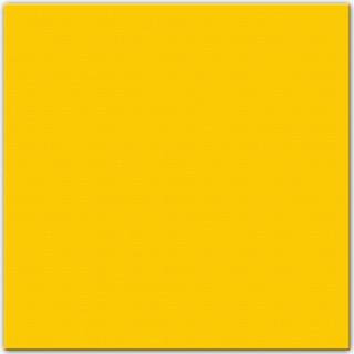 👉 Servet gele papier geel 25x Servetten 33 X Cm - Paasontbijt Tafeldecoratie Versieringen 8720147344172