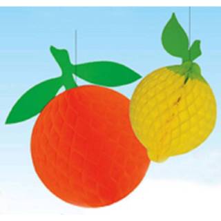 👉 Papier multikleur Hangdecoratie Sinaasappel 8718758058540