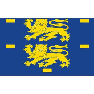 👉 Vlag active West-Friesland 40x60cm 7424949333358