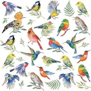 👉 Servet active multi papier 20x Vogels / dieren voorjaars servetten 33 x cm