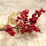 👉 Boeket schuim active decoratieve bloemen 2 STKS Cranberry Kunstmatige Fruit Bruiloft Decoratie 6922721421305