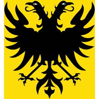 👉 Vlag active Naarden 120x180cm 7424950231292