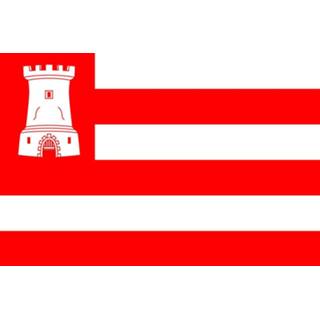 👉 Vlag active Alkmaar 120x180cm 7424954014068