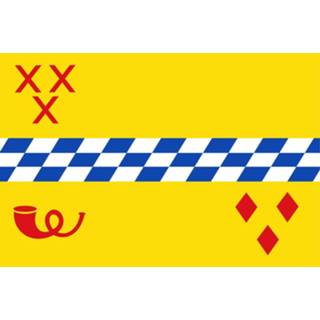 👉 Vlag active Woerden 200x300cm 7424951844842