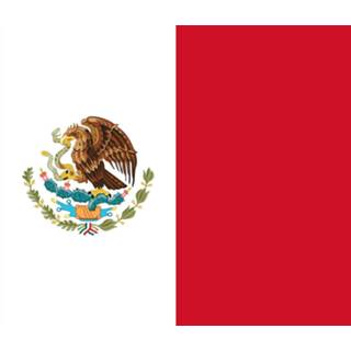 👉 Vlag active Mexico 100x150cm - Glanspoly 7424949446461