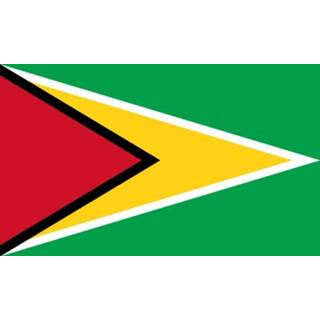 👉 Tafelvlag active Tafelvlaggen Guyana | Guyanees tafel vlaggetje 10x15cm kopen bij Vlaggenclub 7430439369387