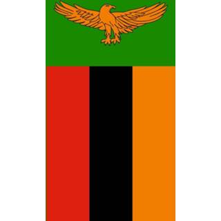 👉 Vlag active Zambia 100x150cm - Glanspoly 7424951197184