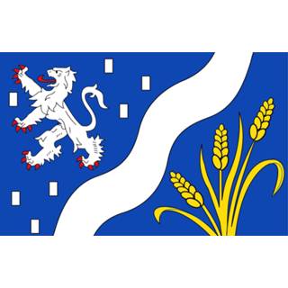 👉 Vlag active Haarlemmermeer 200x300cm 7424953054034