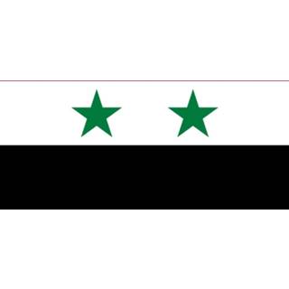 👉 Vlag active Syrie 120x180cm 7424951121141