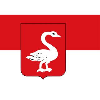 👉 Vlag active Huissen 200x300cm 7424955012094