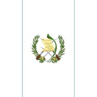 👉 Vlag active Guatemala 100x150cm - Glanspoly 7424952138179