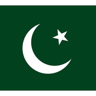 👉 Vlag active Pakistan 100x150cm - Glanspoly 7424948683652