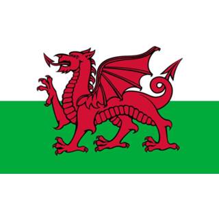 👉 Tafelvlag active Wales 10x15cm | met standaard 7424954451412