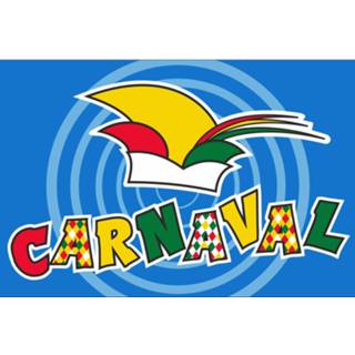 👉 Vlag active Carnaval Prinsenmuts 200x300cm 7424956011065