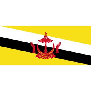 👉 Tafelvlag active Brunei 10x15cm 7430439379386