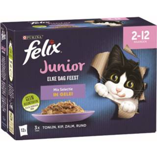 👉 Active Felix Elke Dag Feest Mix Selectie in Gelei Junior 12 x 85 gr 7613039850855