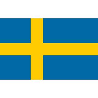 👉 Vlag active Zweden 100x150cm - Glanspoly 7424954947939