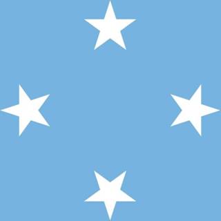 👉 Tafelvlag active Micronesia 10x15cm | met standaard 7424956083079