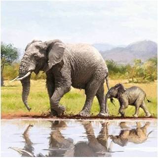 👉 Papieren servet active 20x servetjes olifanten print 33 x cm