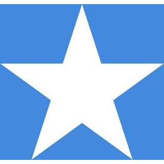 👉 Vlag active Somalie 100x150cm - Glanspoly 7424949452448